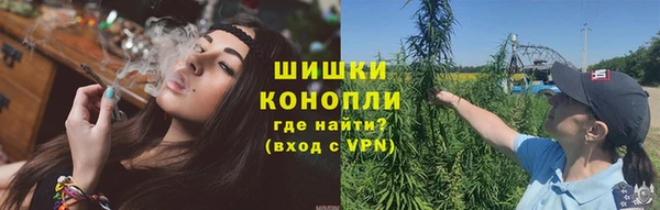 ГАЛЛЮЦИНОГЕННЫЕ ГРИБЫ Вяземский