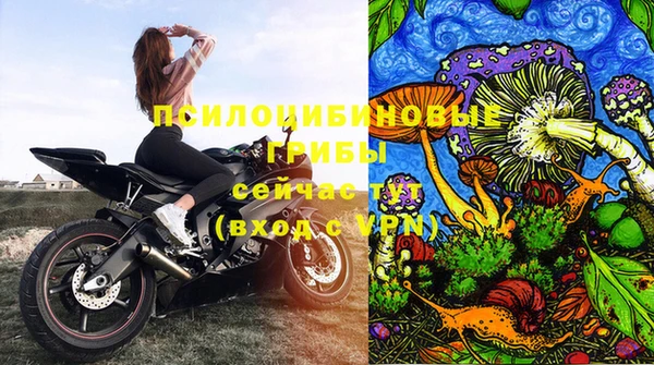 СК Вязники