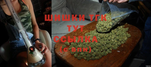 ГАЛЛЮЦИНОГЕННЫЕ ГРИБЫ Вяземский