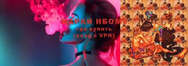 ГАЛЛЮЦИНОГЕННЫЕ ГРИБЫ Вяземский