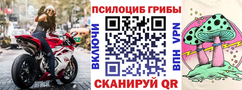 мориарти какой сайт  Видное  Псилоцибиновые грибы Magic Shrooms  omg как зайти 